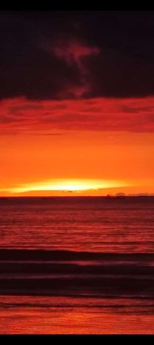 Los Paniquines Ecolodge Drakes Bay エクステリア 写真