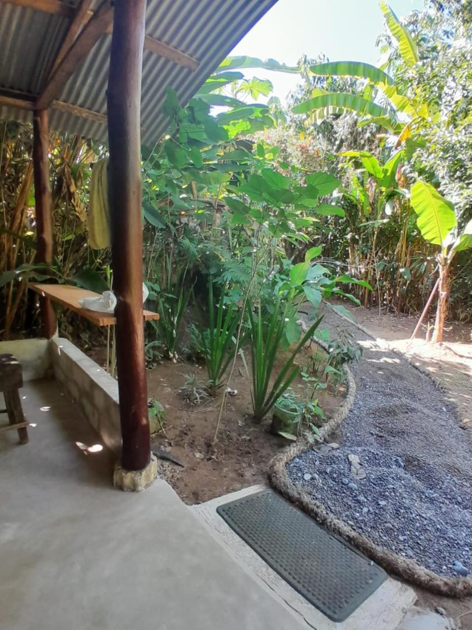 Los Paniquines Ecolodge Drakes Bay エクステリア 写真