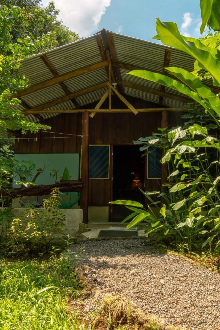 Los Paniquines Ecolodge Drakes Bay エクステリア 写真