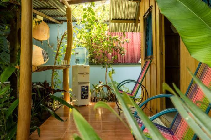Los Paniquines Ecolodge Drakes Bay エクステリア 写真